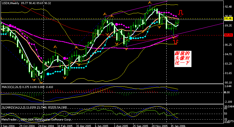usdx w 060207.gif